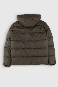 Teddy Smith Blouson B-ELTON RAVEN KAKI Flash Sale