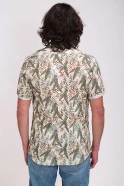 Teddy Smith Chemise col français à pinces C-DIETER MC NATUREL New
