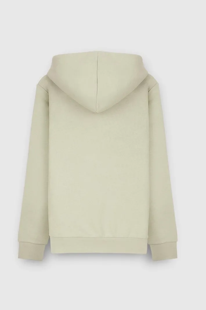 Teddy Smith Sweat à capuche S-NARK HOODY JR VERT SAUGE VERTSAUGE Clearance
