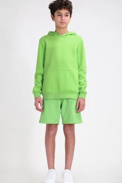 Teddy Smith Sweat à capuche S-NARK HOODY JR WASABI Best Sale