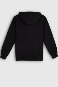 Teddy Smith Sweat à capuche S-NARK HOODY NOIR Discount