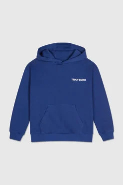 Teddy Smith Sweat molleton avec capuche REQUIRED HOOD BLEU GALAXIE BLEUGALAXIE Cheap