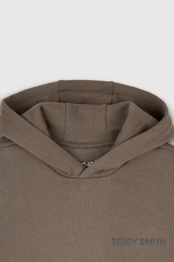 Teddy Smith Sweat molleton avec capuche REQUIRED HOOD KAKI BELUGA KAKIBELUGA Sale