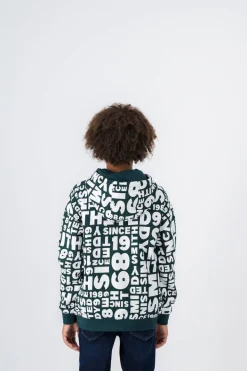 Teddy Smith Sweat-shirt à capuche BARRY HOODY JR VERT SCARABE Flash Sale