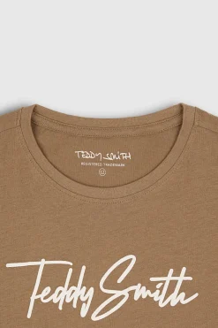 Teddy Smith T-shirt col rond manches courtes T-EVAN MC JR CHATAIN Online