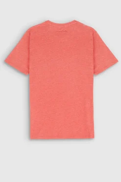 Teddy Smith T-shirt col rond manches courtes THE TEE 1 MC ROUGE CORAIL CHINE ROUGECORAILCHINE Discount