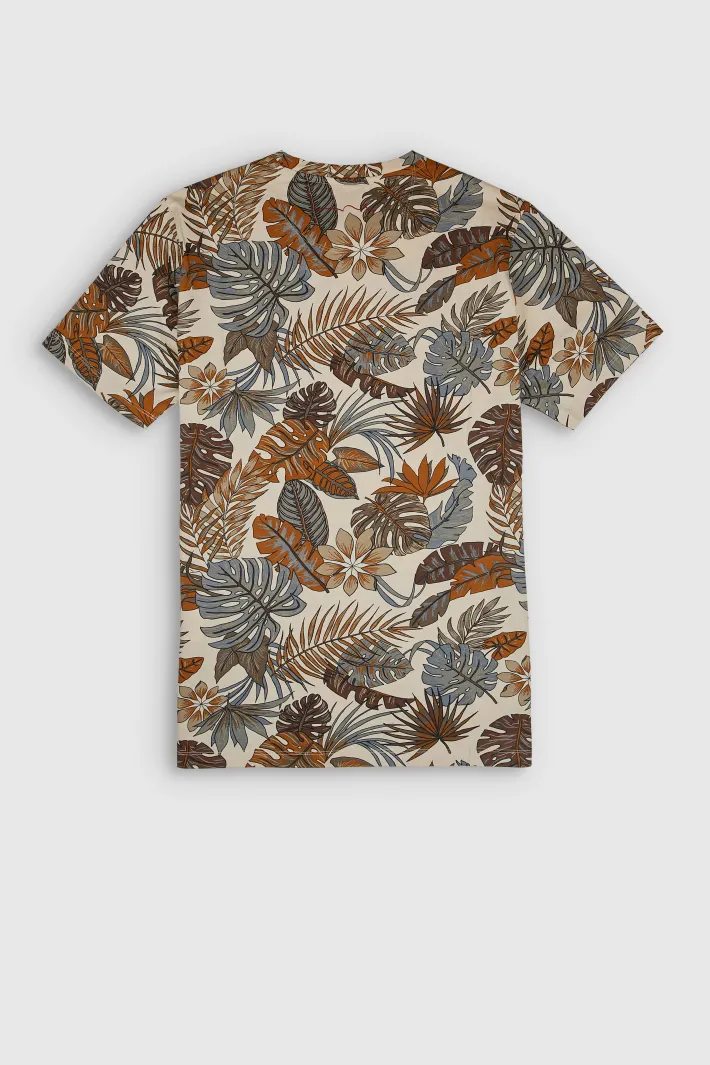 Teddy Smith T-shirt col rond manches courtes T-ANTONE MC NATUREL Cheap