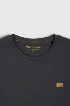 Teddy Smith T-shirt col rond manches courtes THE TEE 1 MC ASPHALT Store