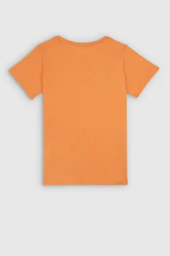 Teddy Smith T-shirt col rond NEW TICIA MC JR SWEET ABRICOT SWEETABRICOT Cheap