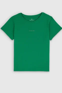 Teddy Smith T-shirt col rond T-RIBELLE MC ELECTRIC GREEN ELECTRICGREEN Online