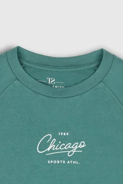 Teddy Smith T-shirt T-ANNA 2 ML JR OPALE Online