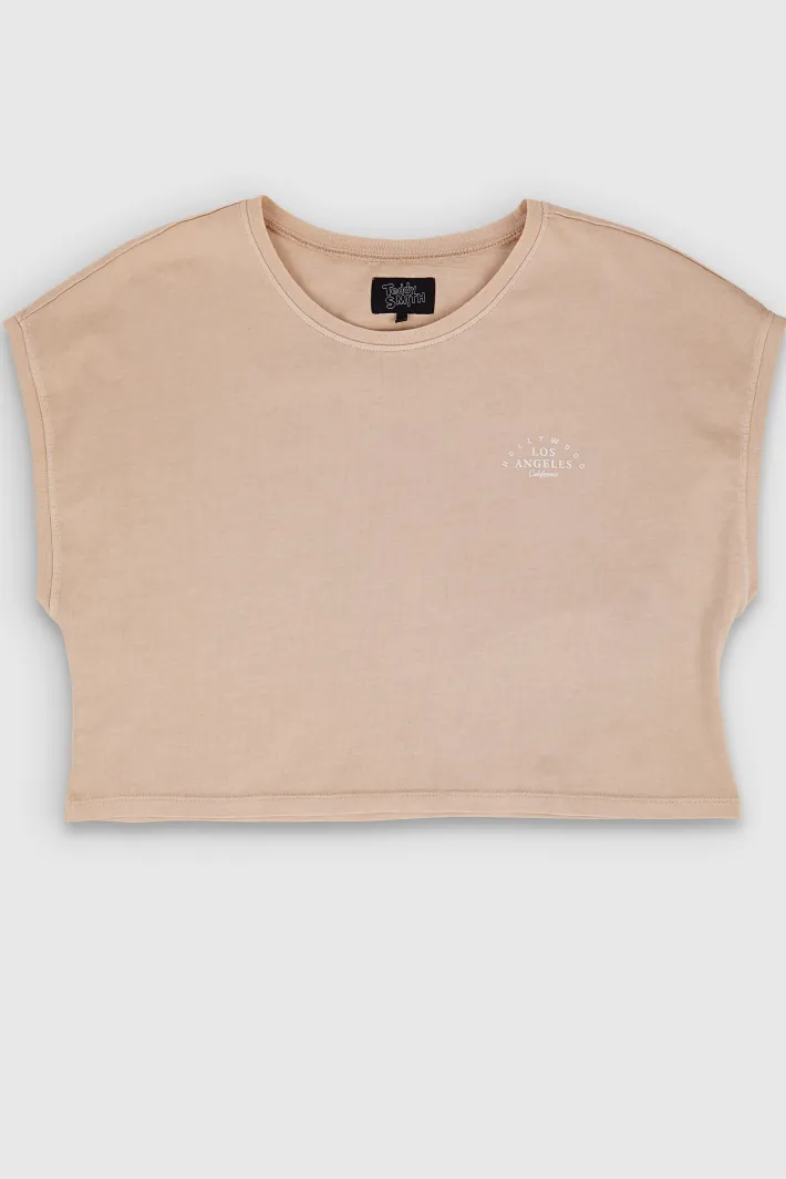 Teddy Smith T-shirt TEE OVER BEIGE Best