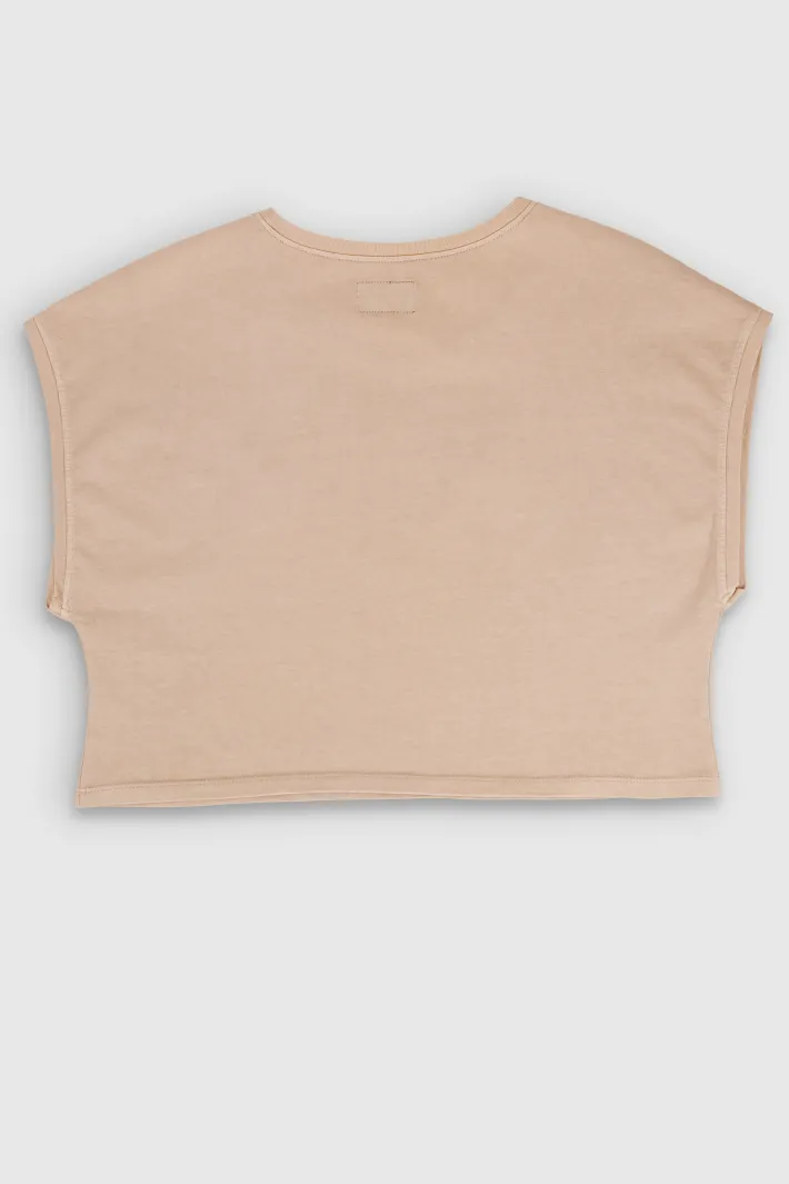 Teddy Smith T-shirt TEE OVER BEIGE Best