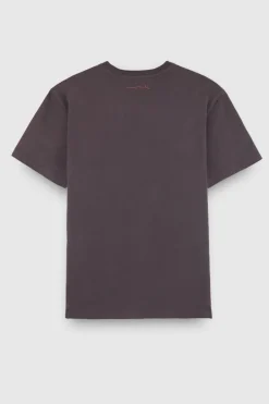 Teddy Smith T-shirt T-HANK MC ASPHALT Store