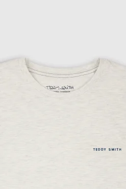 Teddy Smith T-shirt THE TEE 2 ML WHITE MELANGE WHITEMELANGE Flash Sale