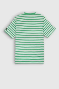 Teddy Smith T-shirt T-MARIN MC VERT CITRUS VERTCITRUS Cheap