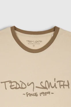 Teddy Smith T-shirt T-ORIGINAL MC SOFT GREGE SOFTGREGE Online
